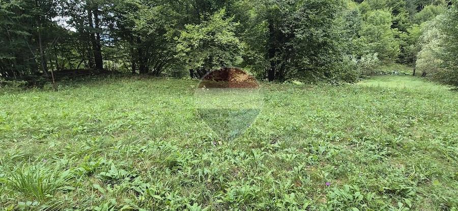 Teren de 2800 mp, în Schitu Tarcău