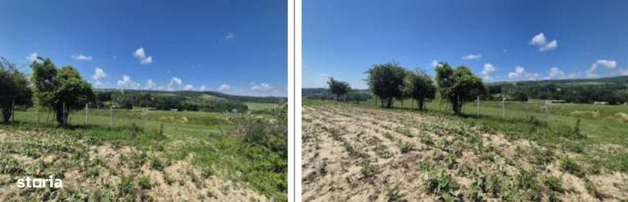 Teren de 1100 mp, în Grajduri