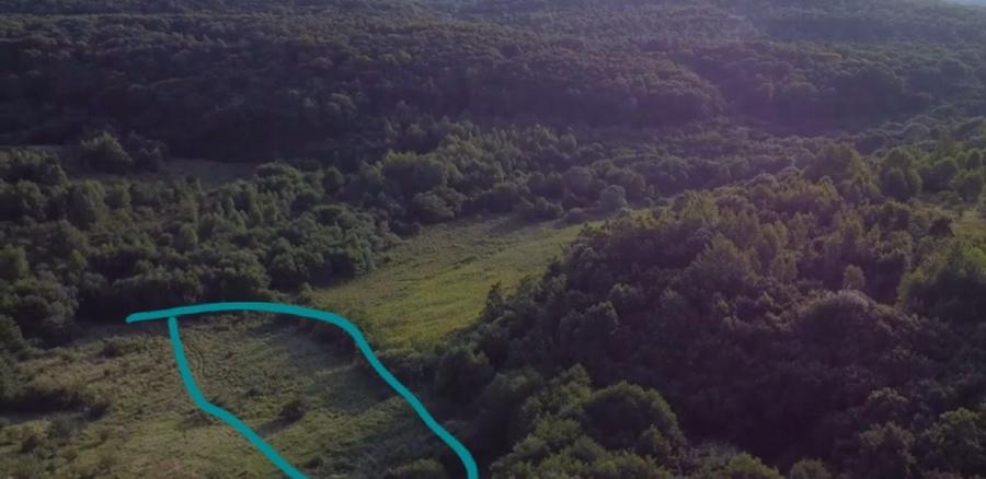 Teren de 5000 mp, în Micești
