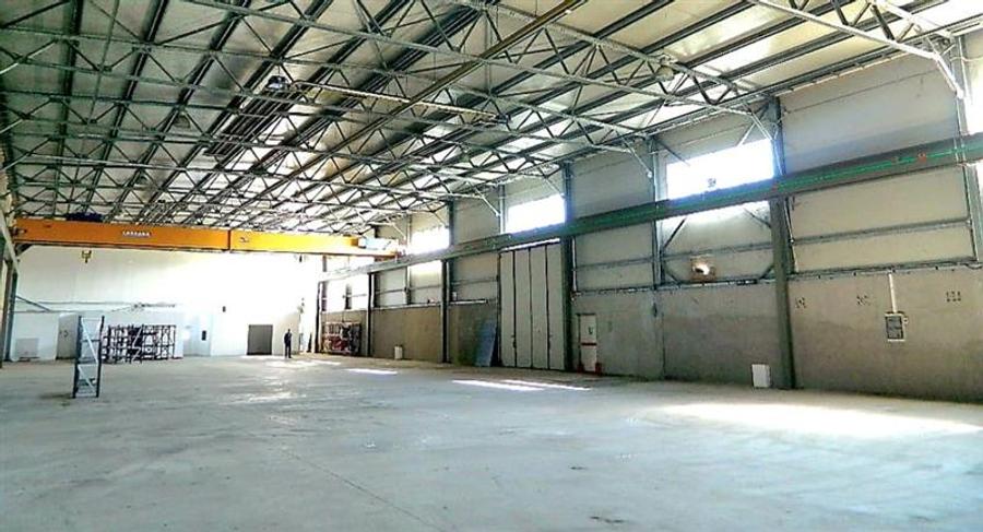 Spațiu industrial, de 1,760 mp, în Lugojului