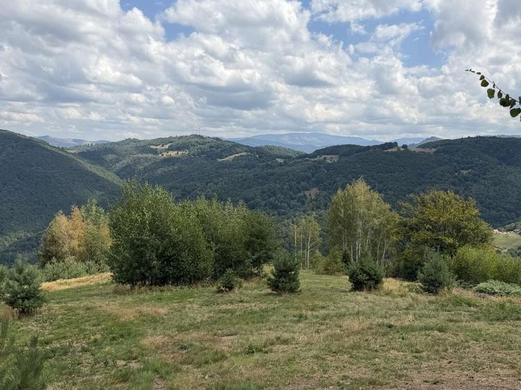 Spațiu comercial, în Bălnaca