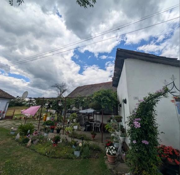 Casă cu 4 camere cu Teren 1680 Mp în Chișcădaga