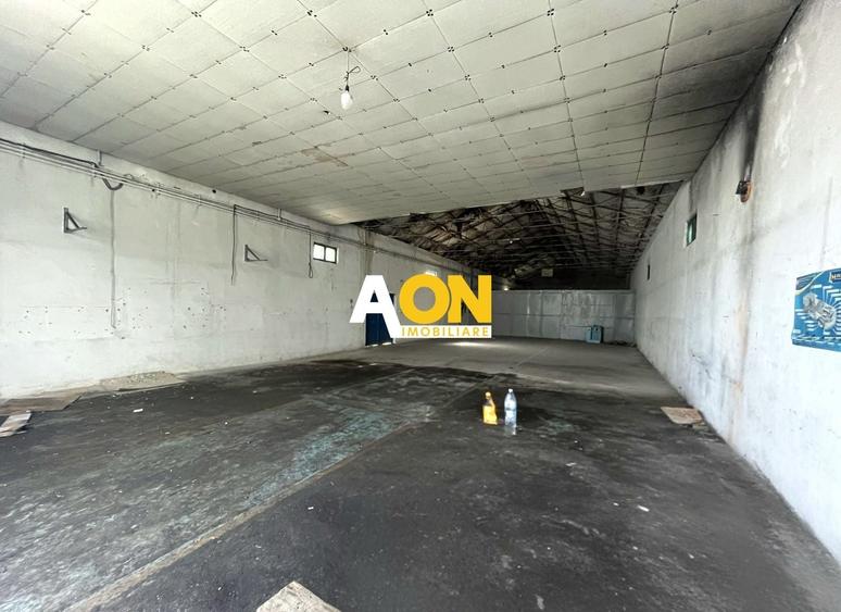 Spațiu industrial, de 250 mp, în Ampoi 1