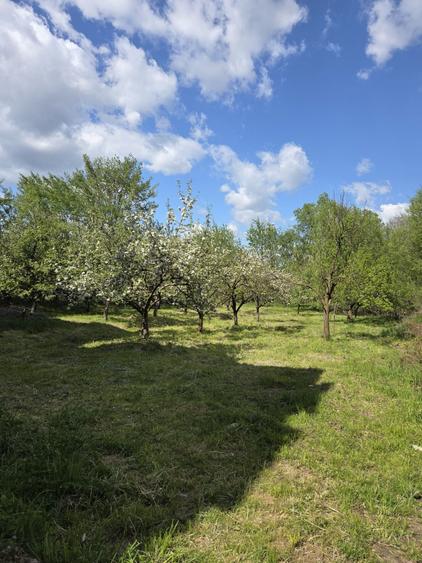 Casă cu 4 camere în Cârnești