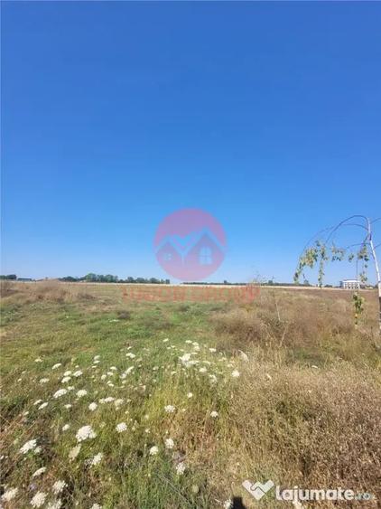 Teren Costinesti 1000 mp, Aproape de Plaja si de Nibiru, Ide - 8