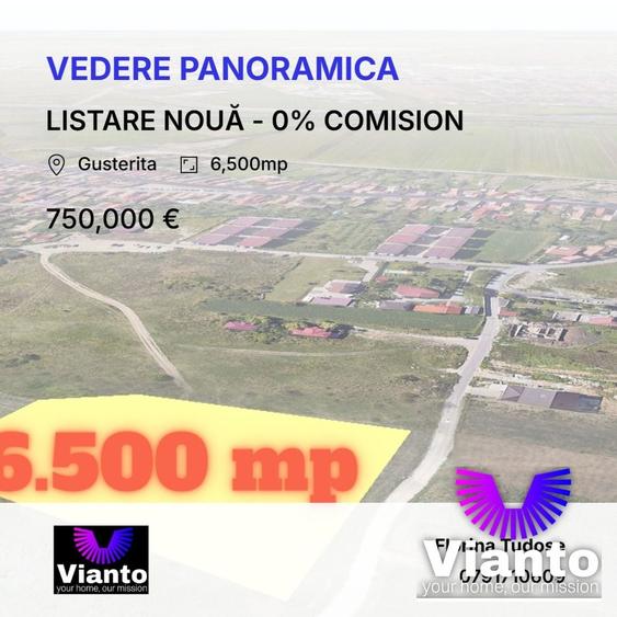 Teren Construcții intravilan de 6500 mp, în Gușterița