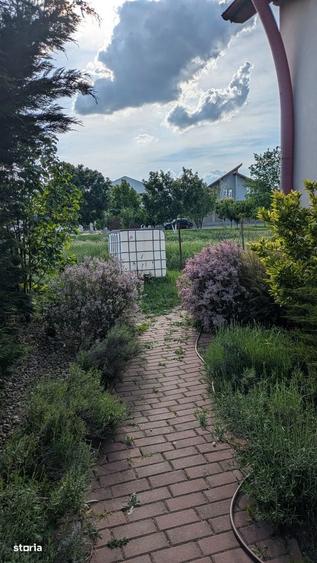 Casă cu 4 camere cu Teren 520 Mp în Vladimirescu