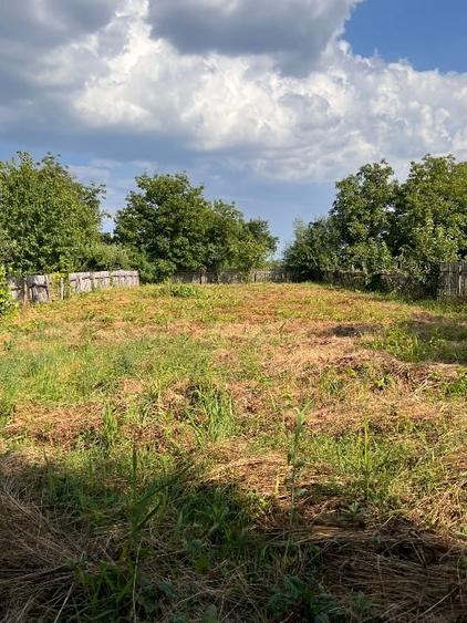 Teren agricol intravilan de 1264 mp, în Borșani
