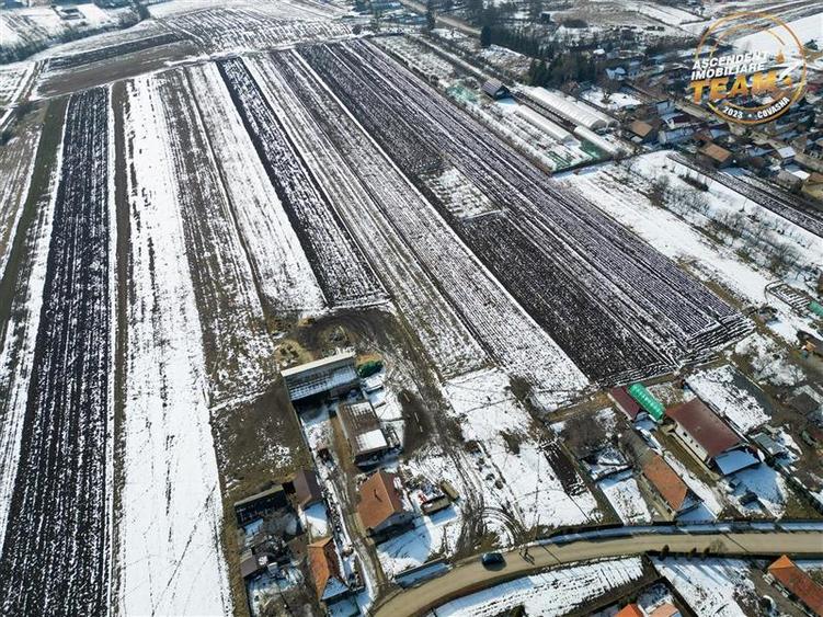 Teren Construcții intravilan de 6245 mp, în Dobolii de Jos
