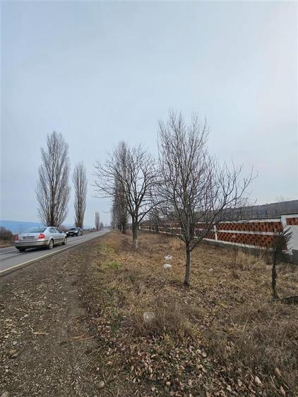 Teren Construcții intravilan de 57662 mp, în Popeni