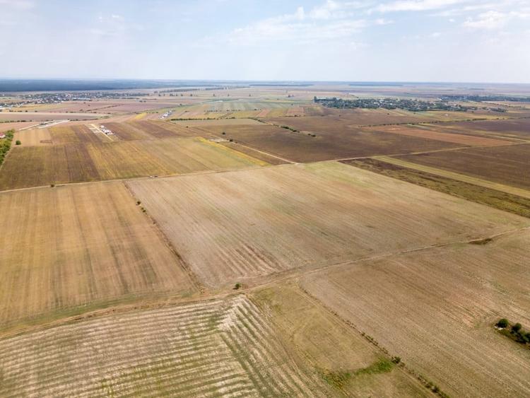 Teren Construcții intravilan de 7500 mp, în Dascălu