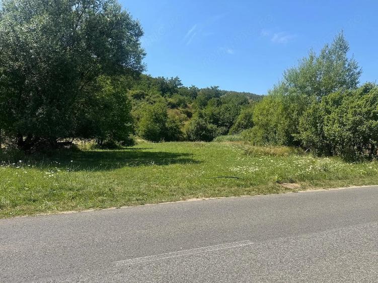 Teren de 2299 mp, în Clopotiva