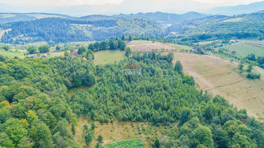 Teren agricol extravilan de 3906 mp, în Poiana Mărului