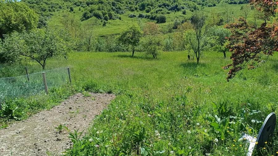 Teren de 2276 mp, în Drăgăneasa
