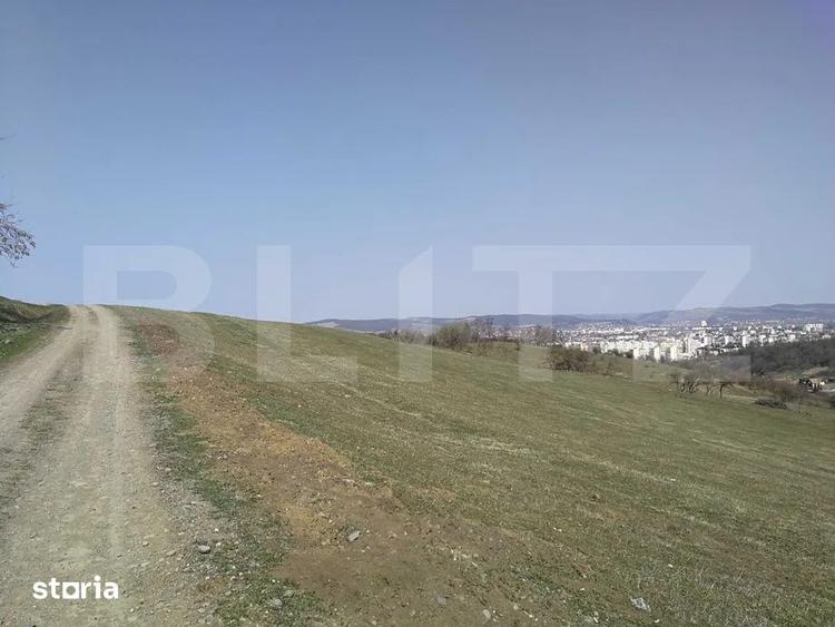 Teren de 15904 mp, în Dâmbu Pietros
