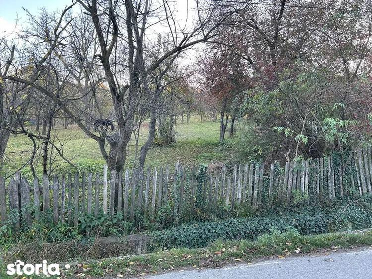 Teren intravilan 2.050 mp Comuna Izvoarele, judetul Prahova - 3