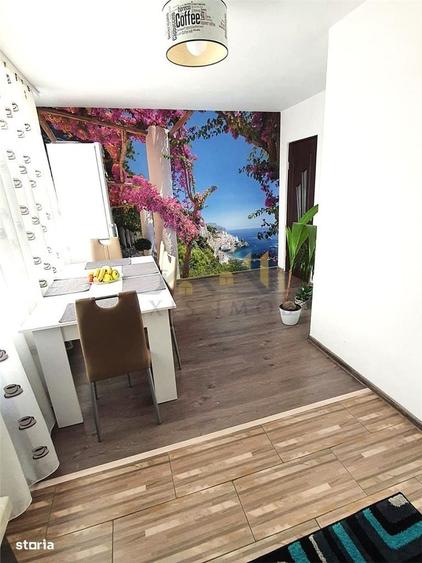 Apartament cu 2 camere semidecomandat în Transilvaniei