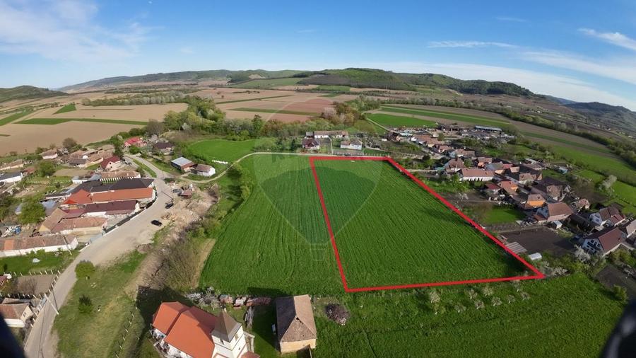 Teren agricol intravilan de 7342 mp, în Alma