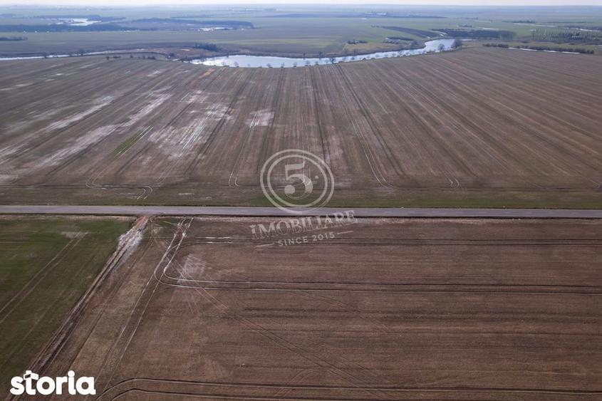 Teren de 17500 mp, în Vasilați