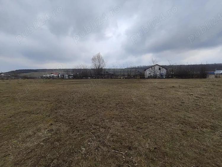Teren de 1100 mp, în Mogoșești