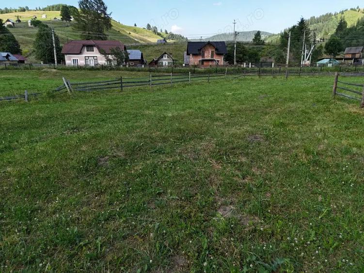 Teren de vanzare intravilan in Bucovina Breaza - 11