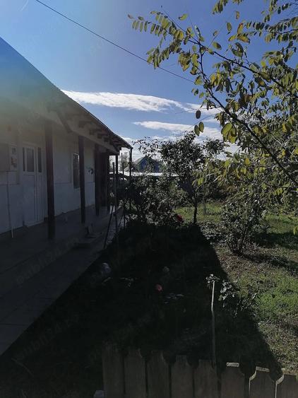Casă cu Teren 2436 Mp în Central