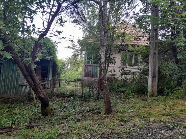 Casă individuală cu 5 camere cu Teren 9515 Mp în Șerbănești (Sălătrucel)