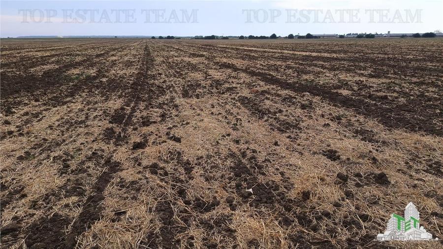 Teren agricol extravilan de 81906 mp, în Petrăchioaia
