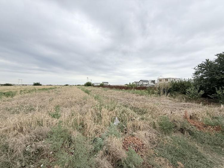 Teren Construcții intravilan de 5000 mp, în Berceni