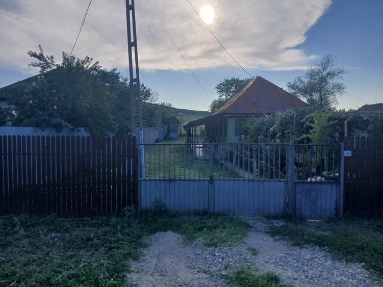 Casă individuală cu 3 camere cu Teren 4501 Mp în Livezi