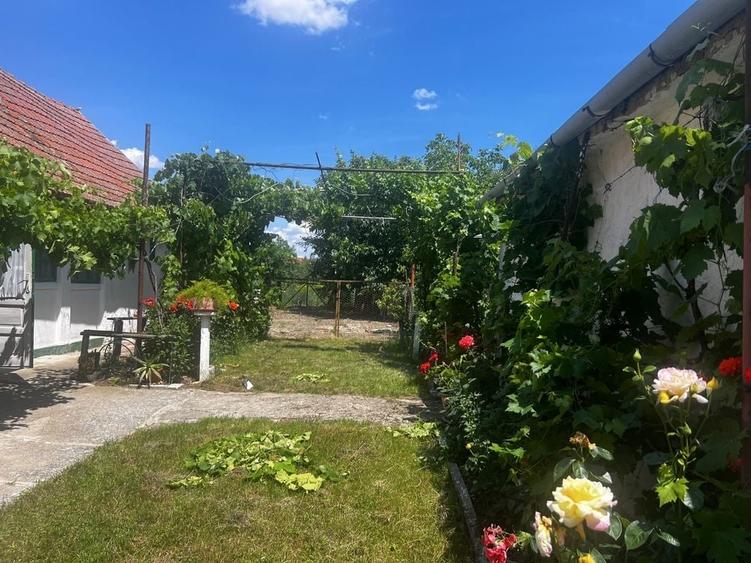 Casă cu 4 camere în Jamu Mare