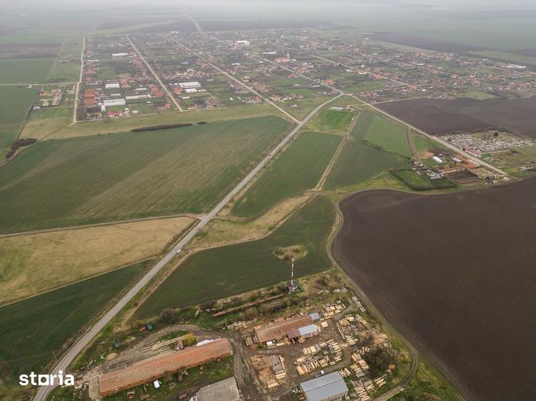 Teren de 7000 mp, în Sântana