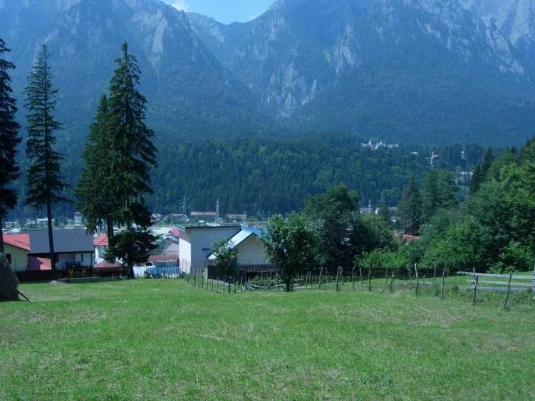 Teren intravilan de 3872 mp, în Zamora