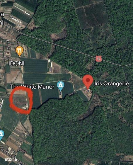 Teren de 8569 mp, în Ciolpani