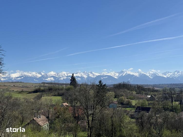 Teren de 7000 mp, în Chirpăr
