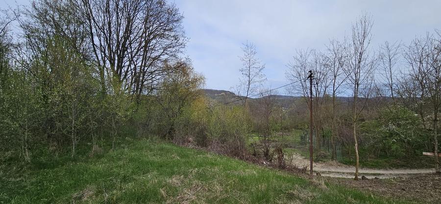 Teren de 3320 mp, în Provița de Sus