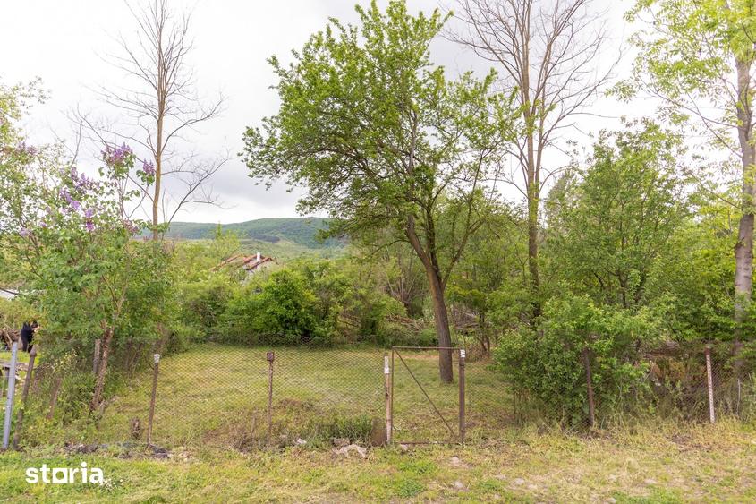 Casă cu 3 camere cu Teren 1500 Mp în Căpușu Mare