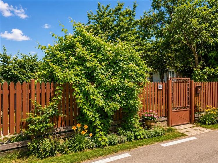 Casă individuală cu 3 camere cu Teren 2000 Mp în Malu Vânăt