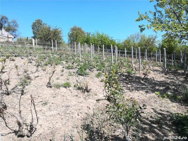 Casă în Rafaila