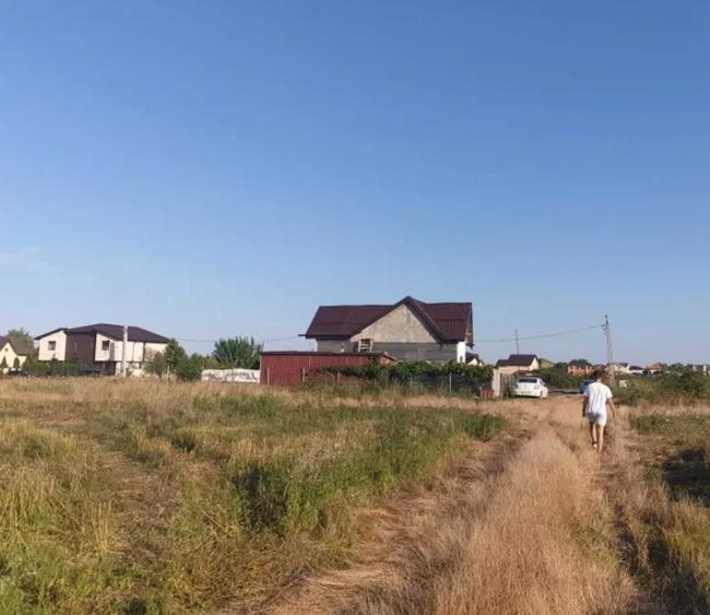 Domnesti If 2500 mp intravilan str Merisorului - 7
