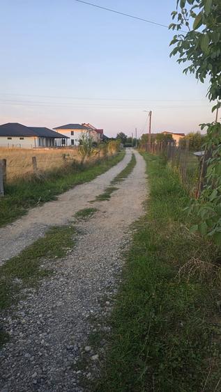 Teren Construcții intravilan de 700 mp, în Cetății