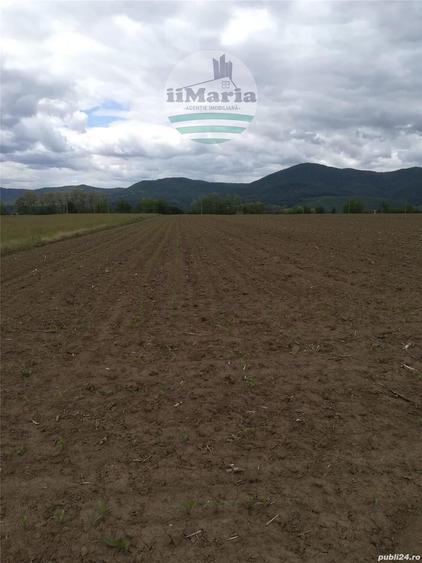 Teren de 18000 mp, în Ciritei