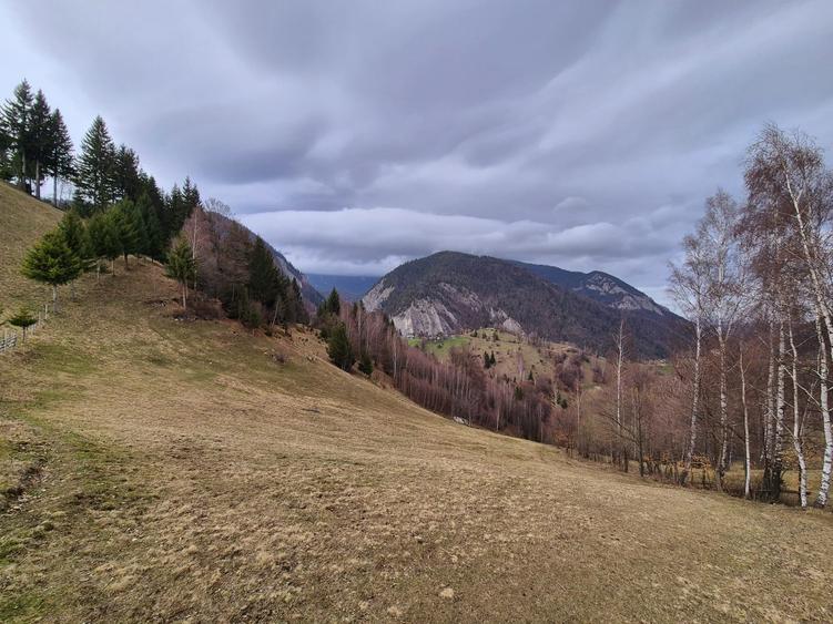 Teren agricol extravilan de 13570 mp, în Peștera