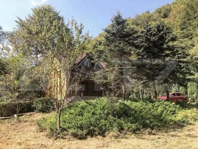 Casă cu 3 camere cu Teren 2500 Mp în Ighiu