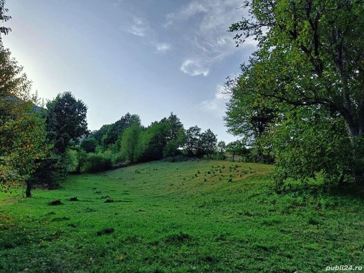 Teren de 3100 mp, în Bistrița