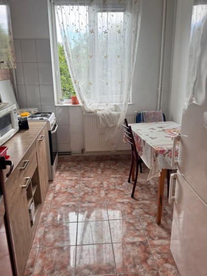 Apartament 2 camere de vanzare situat in zona Brotacei, C - 3