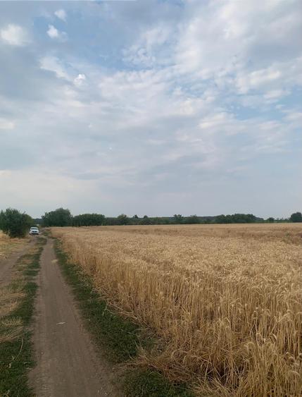 Teren Construcții intravilan de 30000 mp, în Ștefăneștii de Jos