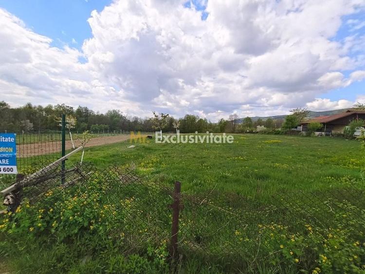 Teren Construcții intravilan de 19209 mp, în Crasna