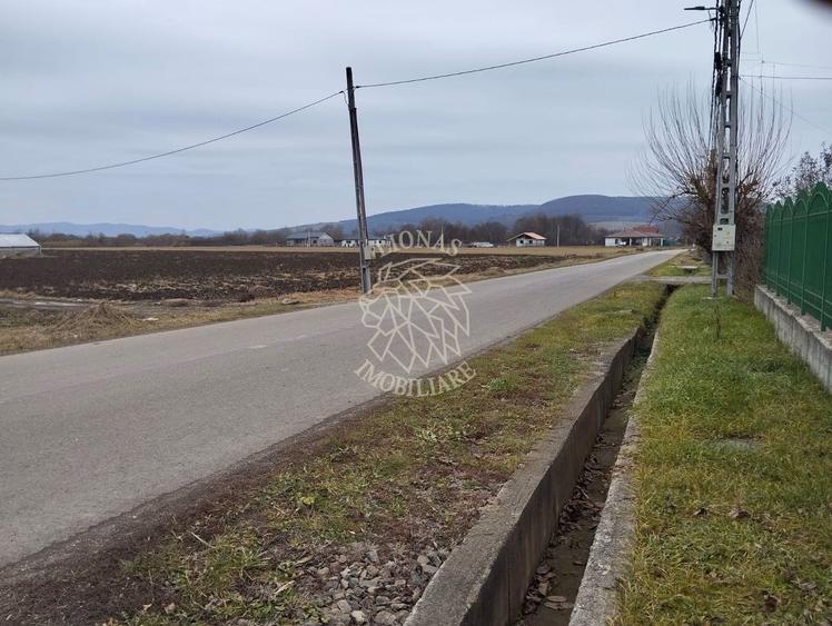 Teren Construcții intravilan de 2500 mp, în Jelna