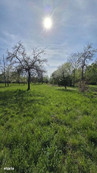 Teren de 1700 mp, în Recea